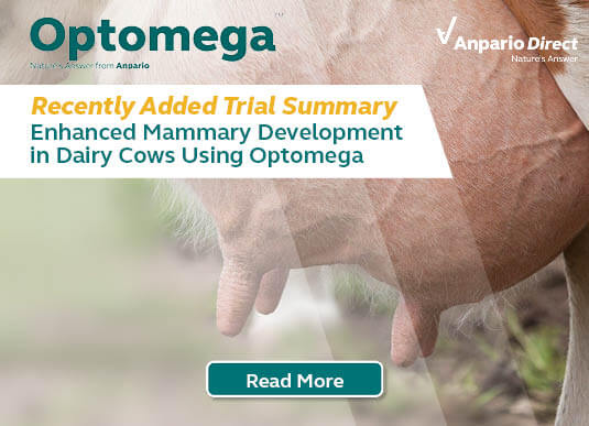 Optomega - Omega-3 Supplement - Enhanced Mammary Development in Dairy Cows